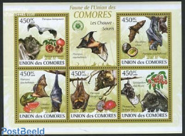 Comoros 2009 Bats 5v M/s, Mint NH, Nature - Animals (others & Mixed) - Bats - Isole Comore (1975-...)