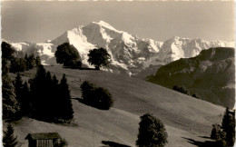 Sommerlandschaft Bei Beatenberg - Jungfrau (7550) - Beatenberg