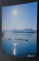 Chiemsee/Oberbayern - Fraueninsel Mit Chiemgauer Berge - Fotoverlag Huber, Garmisch-Partenkirchen - Chiemgauer Alpen