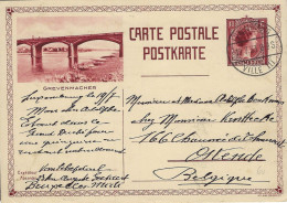 Luxembourg - Luxemburg - Carte-Postale  1933    Grevenmacher   Cachet  Luxembourg-Ville - Postwaardestukken