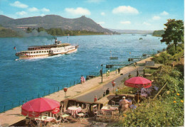 BAD GODESBERG - Rhein Mit Siebengebirge Und Raddampfer/Köln-Düsseldorfer - Steamers