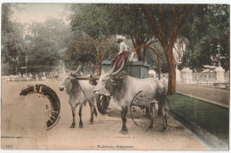 Delcampe - Water-car - SINGAPORE - CPA- - Singapur