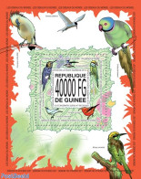 Guinea, Republic 2013 Birds Of The World, Mint NH, Nature - Birds - Parrots - Sonstige & Ohne Zuordnung