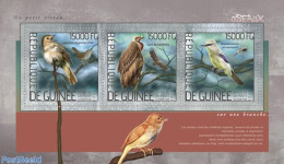 Guinea, Republic 2014 Birds, Mint NH, Nature - Birds - Birds Of Prey - Sonstige & Ohne Zuordnung