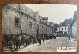 Neu-Breisach - Batteriestal An Strasburgertor - Cpa Animée Militaires Chevaux - A Circulé Le 17/05/1911 - Neuf Brisach