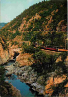 Trains - Paysages Du Vivarais - Les Gorges Du Doux - Carte Neuve - CPM - Voir Scans Recto-Verso - Trains