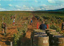 Vignes - Arbois - Domaine De Montfort - Propriété Henri Maire - Vendanges - Raisins - Vin - CPM - Voir Scans Recto-Verso - Weinberge