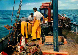 Metiers - Peche - Pecheur - La Peche Aux Homards - Les Pêcheurs Relèvent Les Casiers Mouillés Le Jour Précédent - Bateau - Pêche