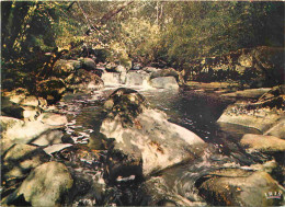 86 - Montmorillon - Le Saut De La Brame - Rivière - CPM - Voir Scans Recto-Verso - Montmorillon