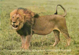 Animaux - Fauves - Lion - Leeuwenpark Beekse Bergen Hilvarenbeek - Tilburg - Zoo - CPM - Carte Neuve - Voir Scans Recto- - Löwen