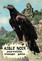 Animaux - Oiseaux - Animaux Humoristiques - 78 - Aigle Royal - Etat Pli Visible - CPM - Voir Scans Recto-Verso - Birds