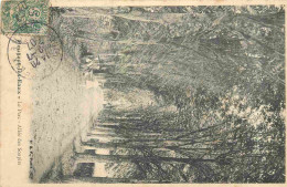 58 - Pougues Les Eaux - Le Parc - Allée Des Soupirs - Animée - CPA - Oblitération De 1907 - Voir Scans Recto-Verso - Pougues Les Eaux