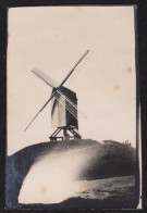 Jolie Photographie Ancienne Vers 1910 D'un Moulin à Identifier, Kruishoutem Van De Hoogmolen?? Belgique? 6,6x4,5cm - Orte