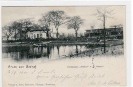 39068021 - Hamburg Wandsbek Mit Restaurant  Seehof  Gelaufen, 1901 Kleiner Knick Unten Links, Leichter Bug Oben Rechts, - Autres & Non Classés