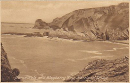 AK 213661 ENGLAND - Hartland Quay - Dame Hole And Blegberry Bay - Andere & Zonder Classificatie