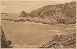 AK 213661 ENGLAND - Hartland Quay - Dame Hole And Blegberry Bay - Otros & Sin Clasificación