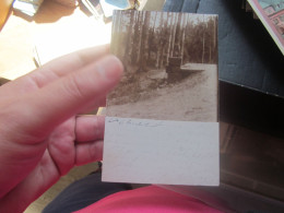 Auf Dieser Seite Sina Mittelungen Fur Die Schweiz Frankreich Und England Zulassig Old Photo Postcards - Sonstige & Ohne Zuordnung