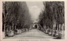 ARLES-SUR-RHONE      ( BOUCHES DU RHONE )   LES ALYSCAMPS . ALLEE DES TOMBEAUX - Arles