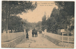 CPA - TAM(A)RIS SUR MER (Var) - Avenue De La Rouve - Tamaris