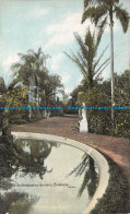 R142259 The Acclimatization Gardens. Brisbane. Hardie. Fine Ar Post Cards. Shure - World