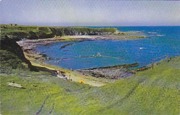 AK 213669 ENGLAND - Berwick-upon-Tweed - Bathing Pool And Harbour - Other & Unclassified