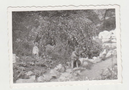 Cute Puppy Dog In Yard, Scene, Vintage Orig Photo 8.5x6cm. (33806) - Voorwerpen