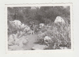 Cute Puppy Dog In Yard, Scene, Vintage Orig Photo 8.5x6cm. (33808) - Objets