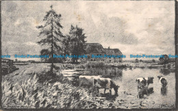R141406 The Baddow Meads. E. P. Bucknall. 1910 - Monde