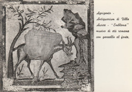 AD614 Agrigento - Antiquarium Di Villa Aurea - Emblema Musivo Di Età Romana Con Gazzella Alla Fonte / Non Viaggiata - Agrigento