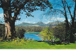 AK 213677 SCOTLAND - The River Tweed From Dryburgh - Roxburghshire