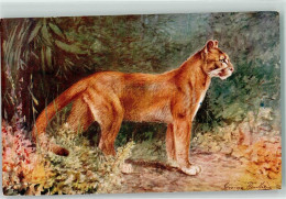 10675821 - Puma Sign. George James Rankin    Verlag Salmon J. England  Nr. 776 - Lions