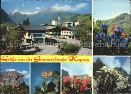 72090912 Kaprun Ortsansicht Alpenflora Kaprun - Andere & Zonder Classificatie