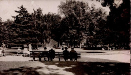 MOULINS       ( ALLIER )   LE JARDIN DE LA GARE - Moulins