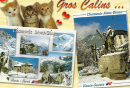 *CPM - 74 - CHAMONIX MONT-BLANC - Gros Calins - Multivues - Chamonix-Mont-Blanc