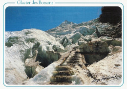 *CPM - 74 - CHAMONIX-MONT-BLANC - Glacier Des Bossons - Accès à La Grotte De Glace - Photo De Serge DESCHAMPS - Chamonix-Mont-Blanc