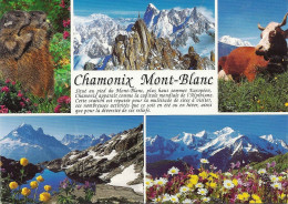*CPM - 74 - CHAMONIX-MONT-BLANC - Multivues - Chamonix-Mont-Blanc