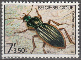 Belgique 1974 Michel 1792 O Cote (2008) 0.65 € Scarabée - Used Stamps