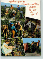 10370221 - Weinlese In Frankreich AK - Vins & Alcools
