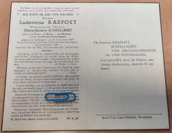 DP - Ludovicus Raspoet - Schollaert - Hekelgem 1867 - St-Martens-Bodegem 1952 - Obituary Notices