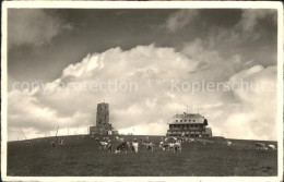 72090607 Feldberg Schwarzwald Stimmungsbild Feldbergturm Berggasthaus Kuehe Feld - Feldberg