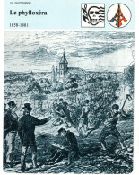 Fiches Illustrée  Destruction Des Pieds De Vigne Par Le Phylloxérade 1858 à 1881  En Bourgogne - Otros & Sin Clasificación