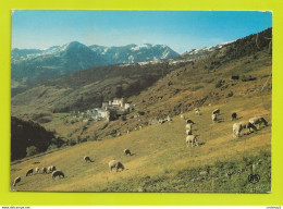 Valls D'Andorra ANDORRE Vue Générale De Soldeu Alt 1826m En 1979 Troupeau De Moutons - Andorra