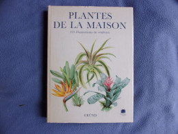 Plantes De La Ma - Sciences