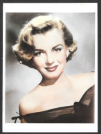 Cinéma  Actrice - Marilyn Monroe (16.5 X 12 Cm) Estate Of Marilyn Monroe Represented Roger Richman  Beverly Hills CA. - Acteurs