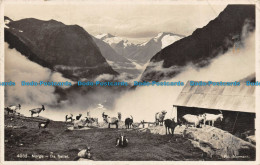 R142369 4032 Norge Fra Fjellet. Normann. Bill Hopkins Collection - Monde