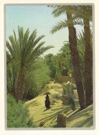 *CPM - MAROC - Une Oasis - Other & Unclassified