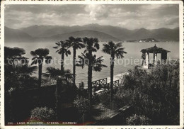 72083899 Stresa Lago Maggiore Giardini  - Other & Unclassified