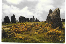 Carnac Les Allignements - Autres & Non Classés