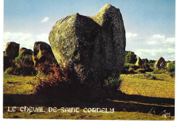 Carnac Alignement Du Ménec Le Cheval De St Cornely - Autres & Non Classés