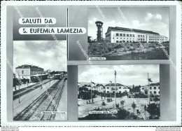 Bu259 Cartolina  Saluti Da S.eufemia Lamezia  Provincia Di Catanzaro Calabria - Catanzaro